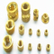 Auto Part OEM CNC Brass Machining/Machinery Parts